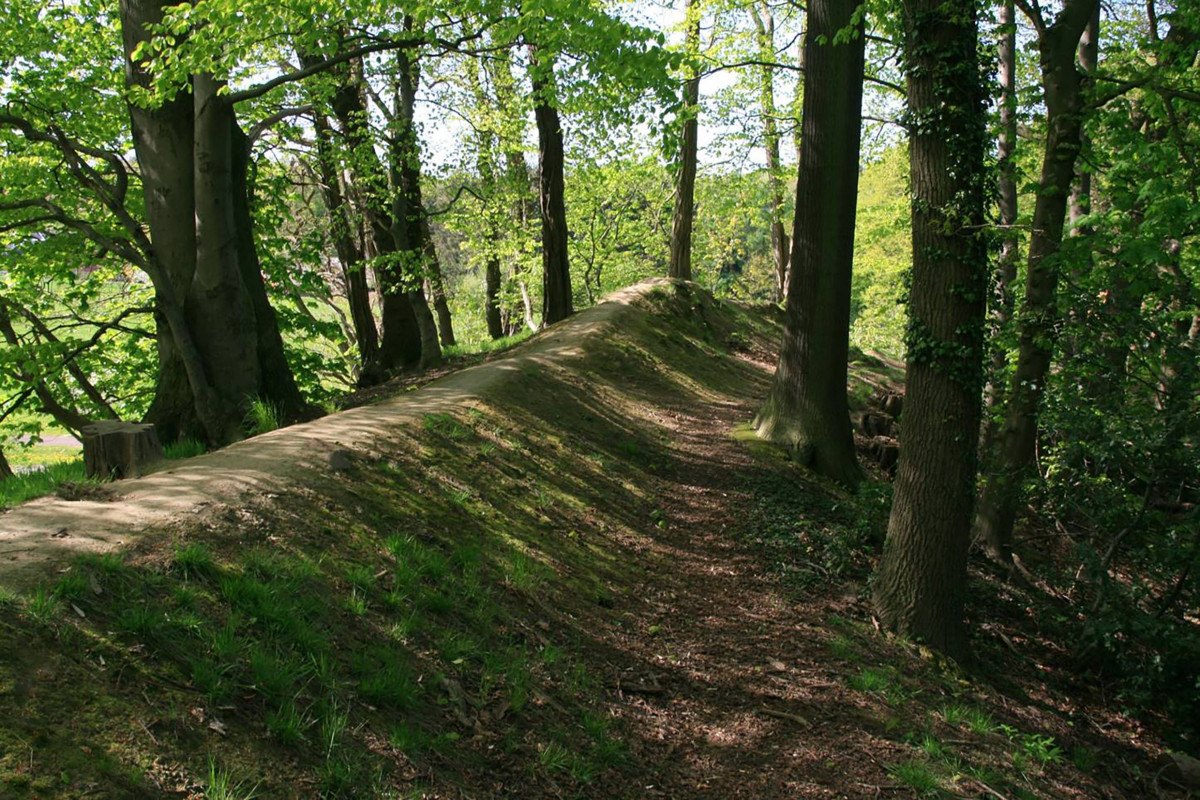 Der Burgwall der Hauptburg ist von mächtigen alten Buchen bestanden und wird als Spazierweg genutzt.